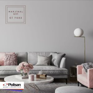 #salonları için gri renk görselleri biz de